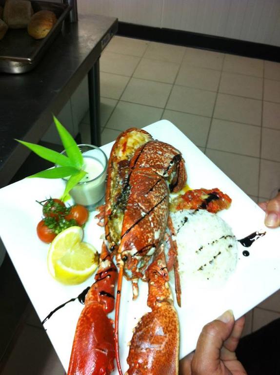 Friendly Auberge Colomiers Exterior photo